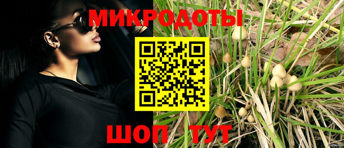 Псилоцибиновые грибы Psilocybe  купить наркотики сайты  Салават  Псилоцибиновые грибы Cubensis  Вход с VPN 